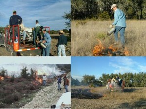 Equipping and empowering ranchers to manage their land: Academy for Ranch Management conducting prescribed burn schools
